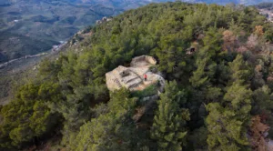 Zeus Altarı